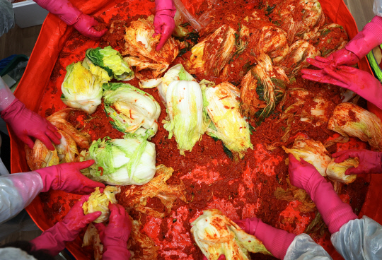 지난 20일 경기도 수원시 권선구 풍미식품에서 열린 경기 사랑의열매 따뜻한 겨울나기 김장봉사활동에서 참석자들이 김장을 하고 있다.[수원=연합뉴스]